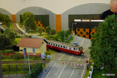 Motorový osobní vlak přijíždí od Lokte do Chrudimi