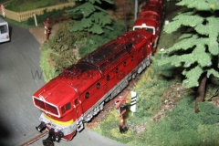 dan46