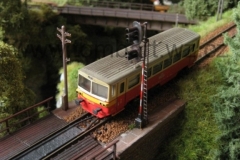 dan77