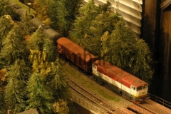 kolTBc12