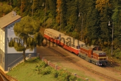 kolTBc15
