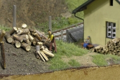 Na podzim jsem dělal dřevo a je mi jasný, že takovouhle kládu bych asi sám nezvládnul, ale ten děda si poradí. Vždyť mu to jde pěkně od ruky, když na něho babka kouká... (známe to asi všichni)
