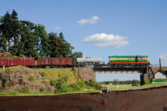 TMB_8677
