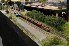 TMB_1494