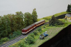 TMB_1556