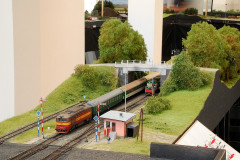 TMB_1656